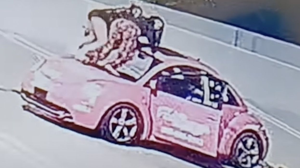 Dumb twerking teens caught on video vandalizing business. Dumber still? Gang symbols carved into cars lead to arrest.