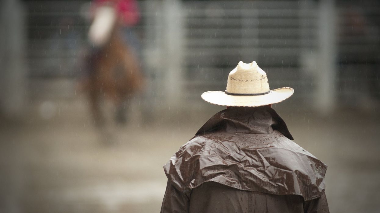 'Left for greener pastures together': Professional rodeo cowboy and his horse killed by lightning strike