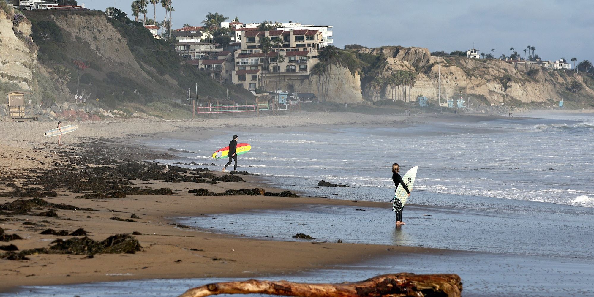 California officials shut down beach on Memorial Day after shark knocks surfer off his board and leaves foot-long bite mark - Vimarsana News
