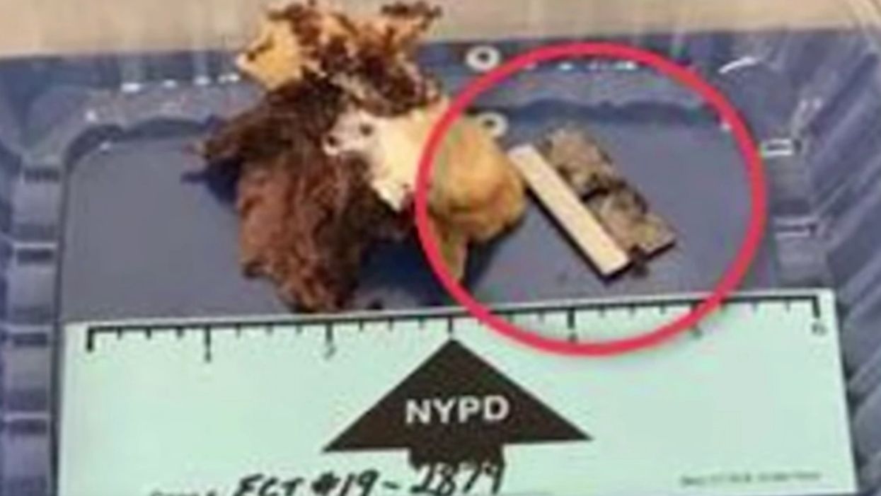 NYPD officer injured when he bites a razor blade in sandwich he bought from shop in Queens