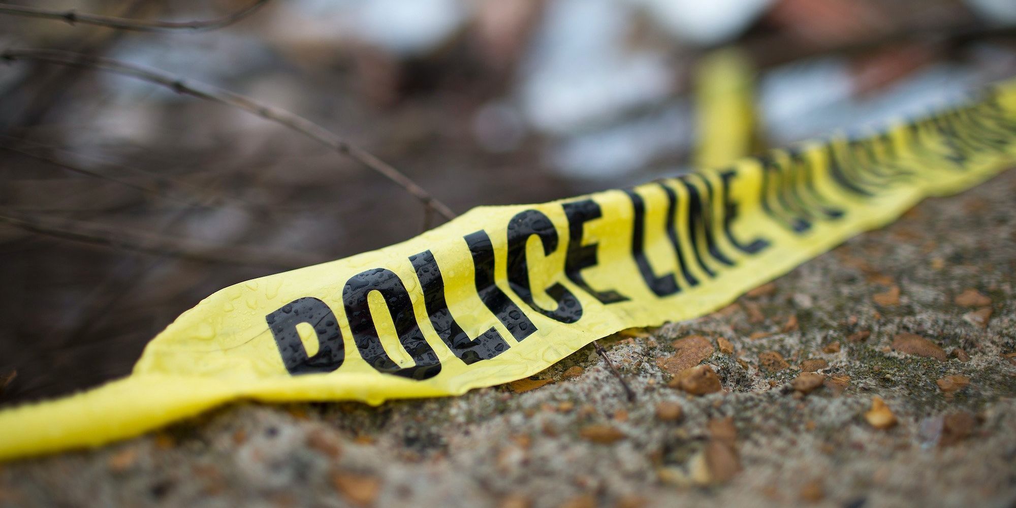 Woman walked into police station and admitted to murdering her two young children, Missouri police say - Vimarsana News