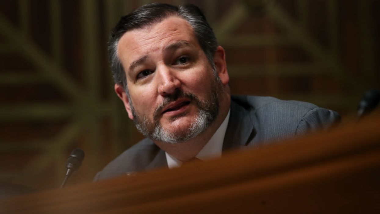 Ted Cruz lambastes Nancy Pelosi and Democrats for not funding small business rescue loans: 'Fund the damn program ... and stop playing games'