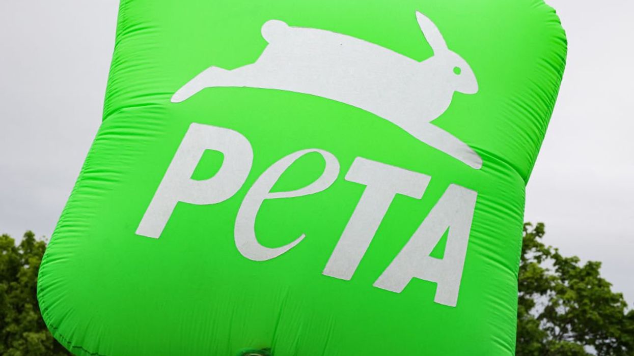 Oklahoma official trolls PETA by taking bite out of burger as group advocates placing 'Ten Vegan Commandments' in schools