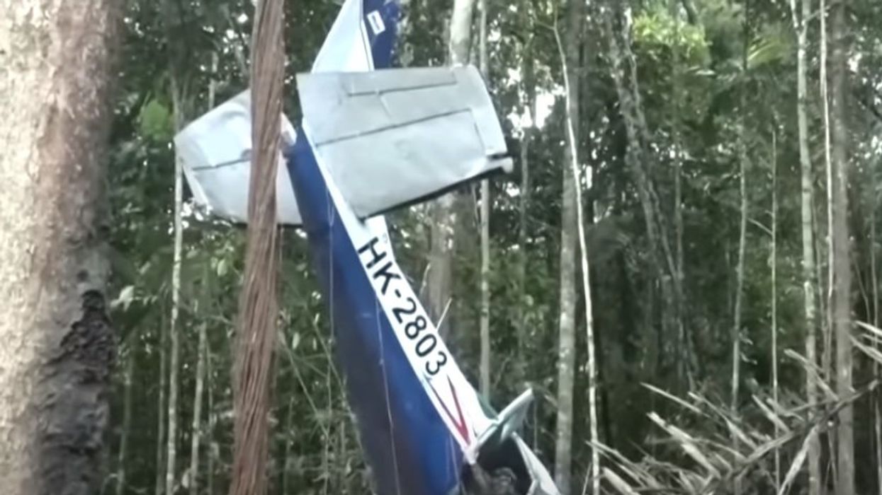 'Miracle!' 4 young kids survive 40 days alone in Colombian jungle after first surviving fatal plane crash