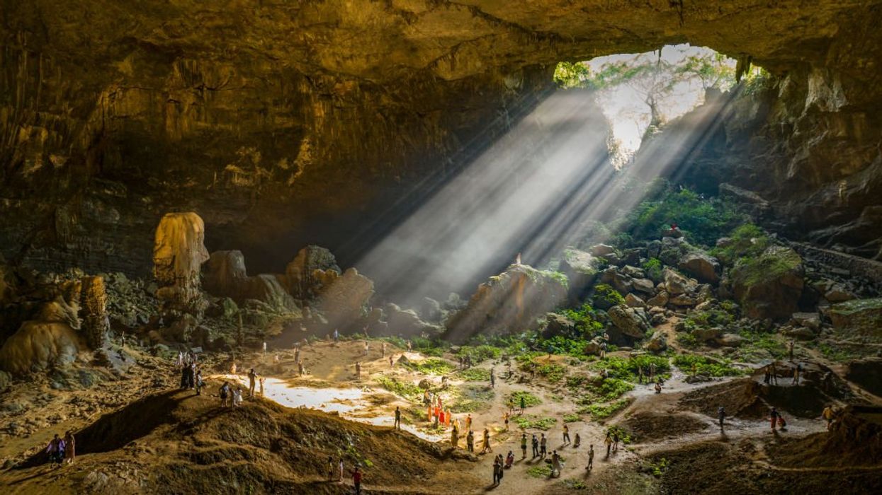 Scientists keep finding 'heavenly pits' in China that are teeming with life and long lost DNA