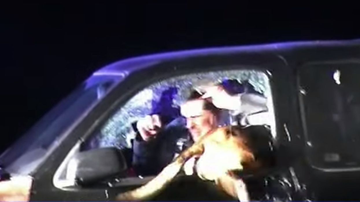 Video captures the moment a K-9 dog leaps through a vehicle window to help apprehend a stalking suspect