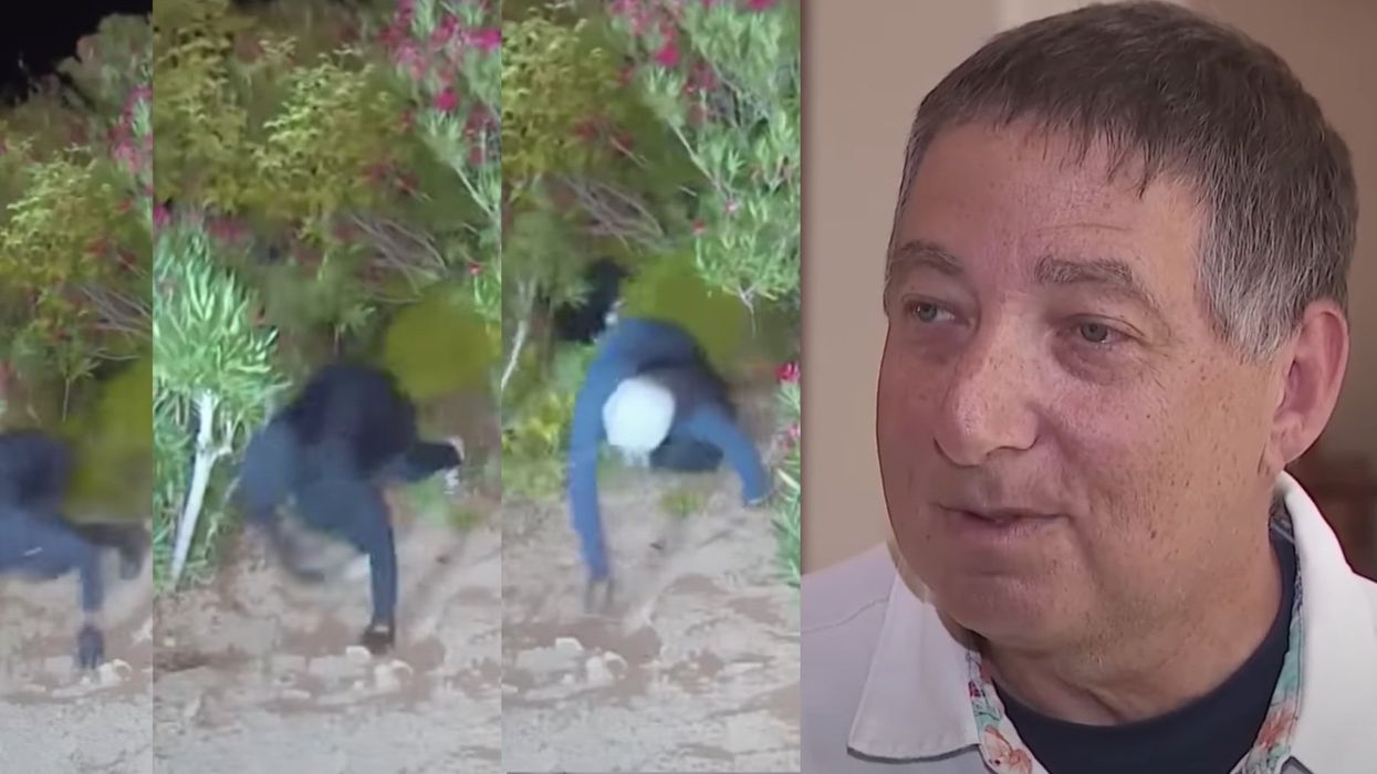Crime novelist's security cameras catch hooded burglars climbing through brush below his home
