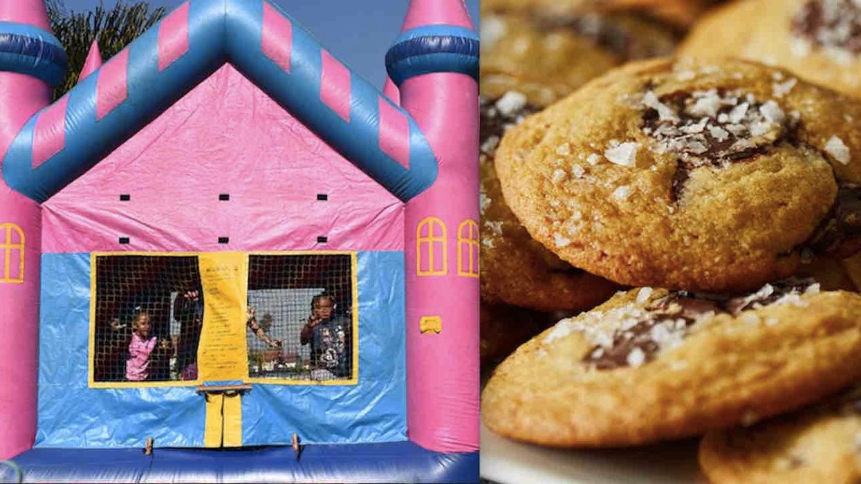 Yale University students offered 'Cookies & Coloring,' 'Bouncy Castle' for 'anxiety relief needs'