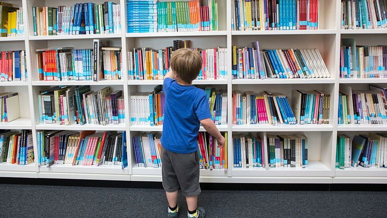 Idaho's publicly funded libraries should withdraw from Marxist-led American Library Association, say GOP lawmakers: 'Exposing children to explicit materials and injecting hard-left politics'