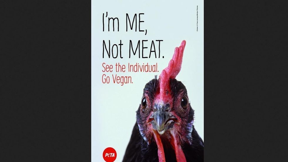 Baltimore's PETA crab billboard battle heats up — and PETA's not backing down