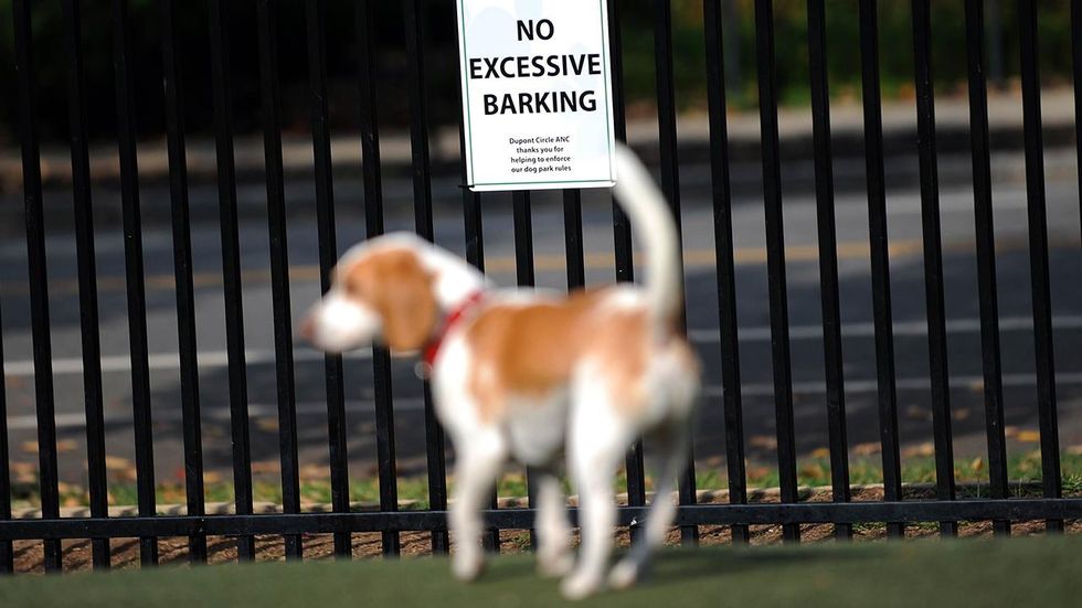 City leaders in Akron, Ohio, are considering jail time for people who let their dogs bark