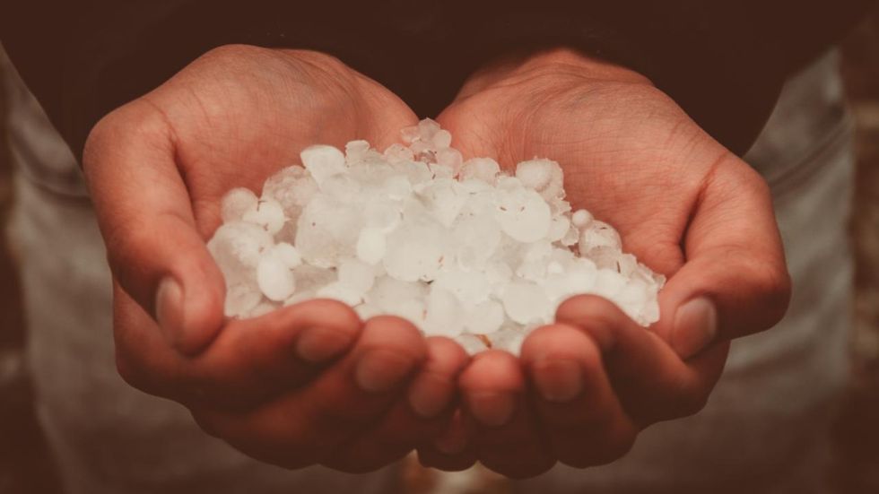 NYT finds the smoking gun: Kavanaugh... threw ice at someone!