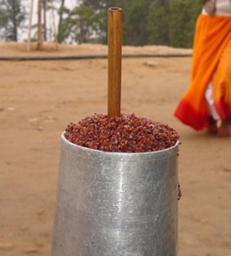 Poisoned Beer Kills 56, Puts Hundreds in the Hospital. Wait Until You Read What African Police Say Could Be Responsible.