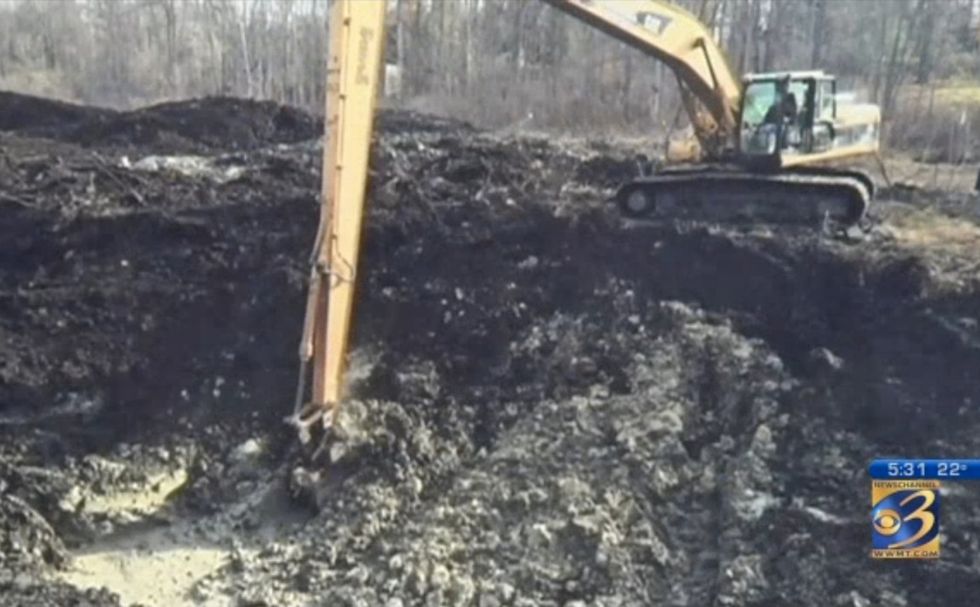 He Was Having a Pond Dug in His Backyard When He Stumbled on the Gigantic Remains of Something Prehistoric