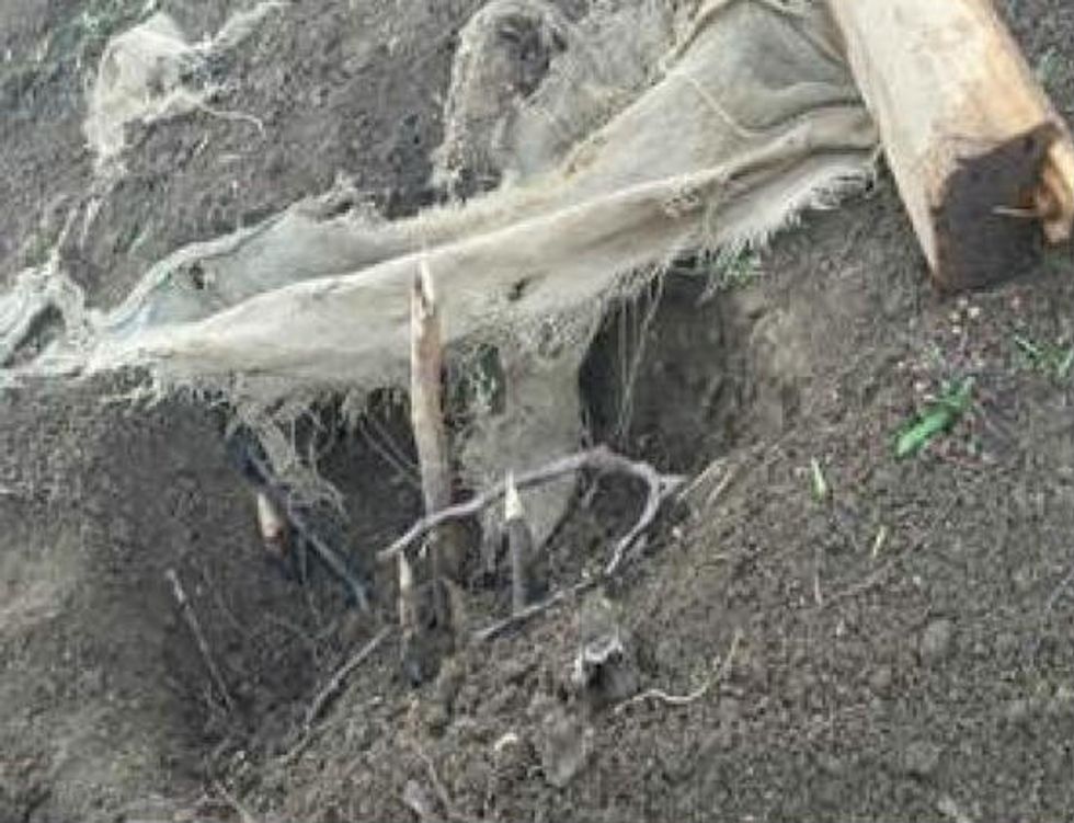 California Firefighter Was Just Doing His Job When He Found a Hidden Booby Trap