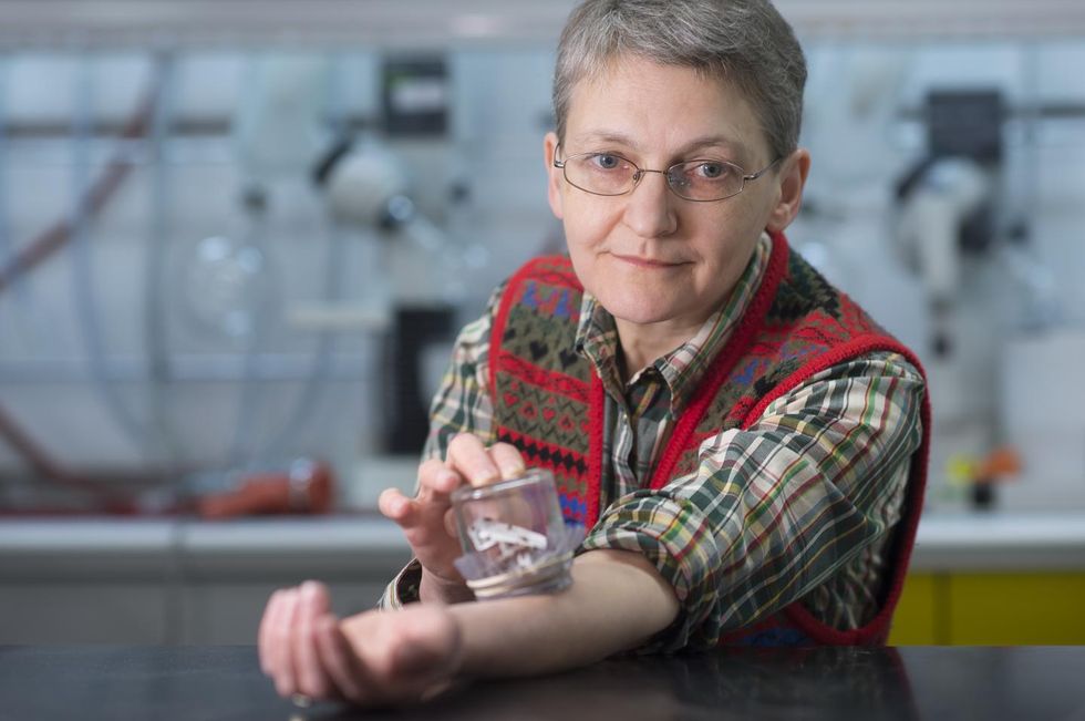 After Allowing Bedbugs to Feed on Her for Five Years, Woman Makes Tremendous Discovery