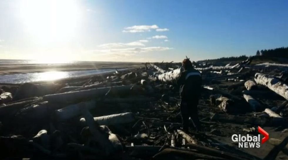 Couple on Remote Beach Treasure Hunt Uncovers Something That Has Them Asking, ‘Is This for Real?’