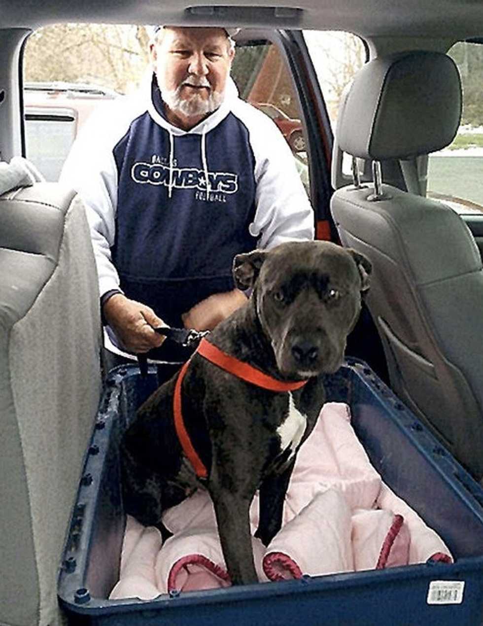 Dog That Disappeared Last Year From Texas Back Yard Finally Turns Up...but Not Exactly Down the Block