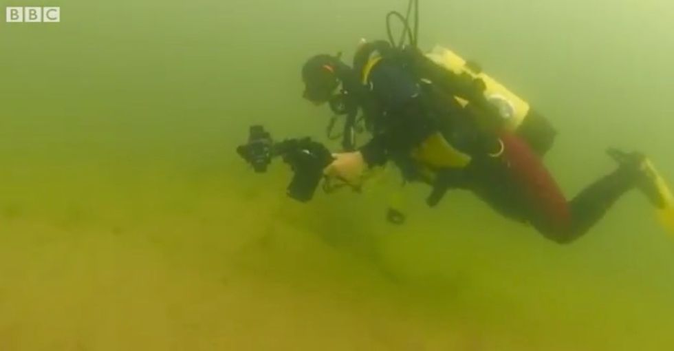 Divers Make Unexpected, Prehistoric Discovery in N.Sea That Was Previously Hidden Beneath the Sand