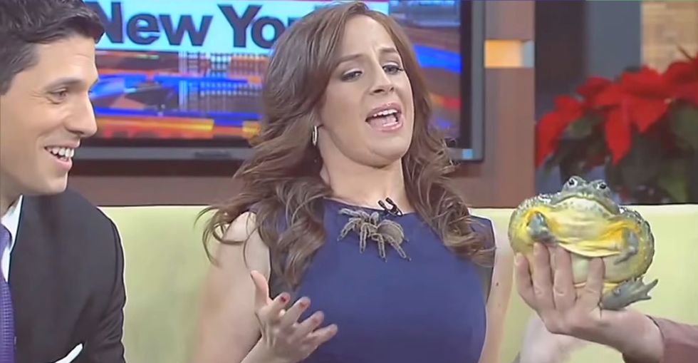 Here Are the Best News Bloopers of January 2015