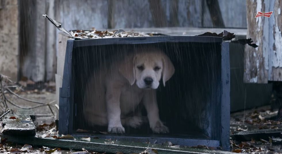 10 Super Bowl Ads That Everyone Will Be Talking About