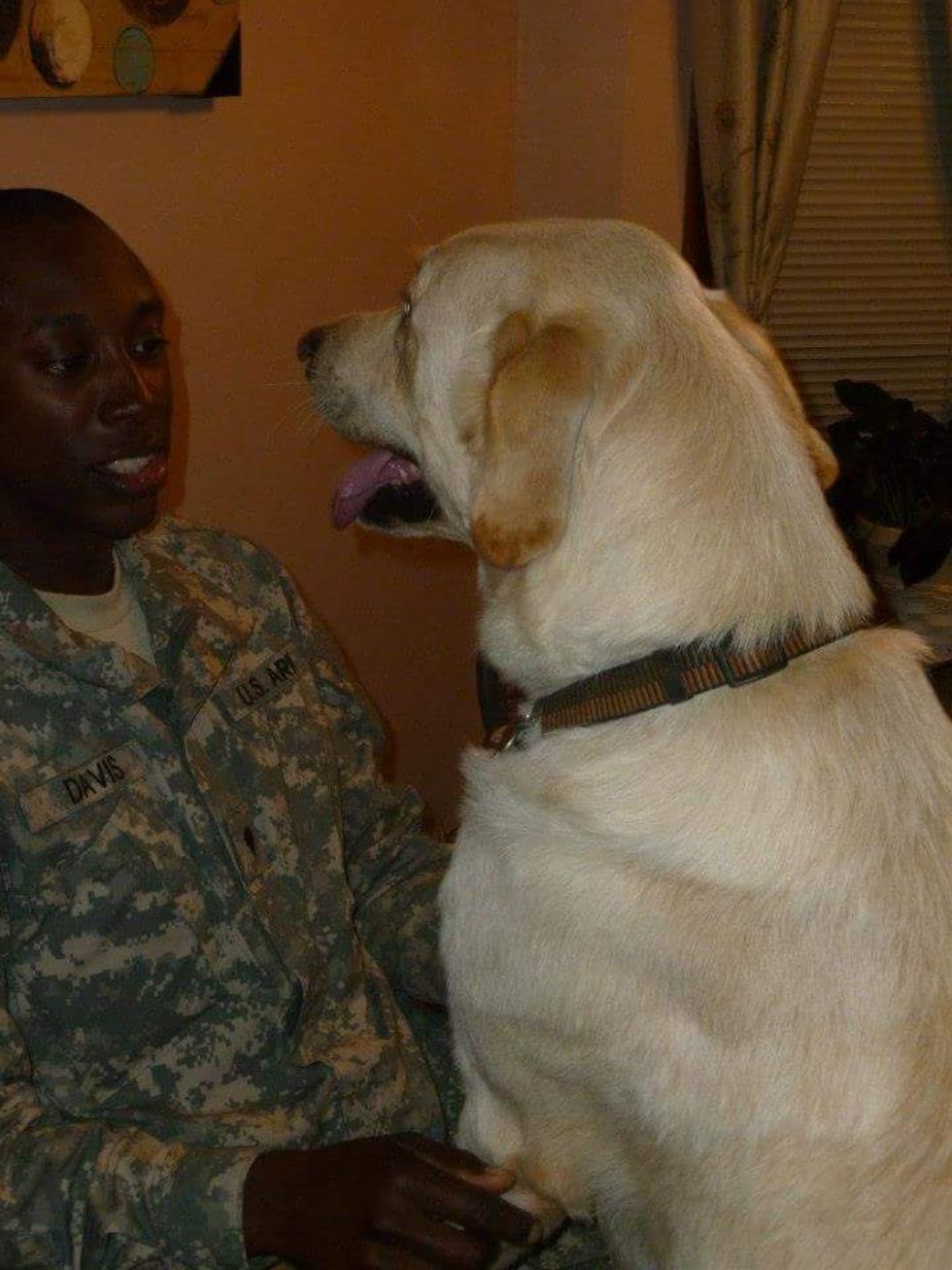 Everyone Knows U.S. Soldiers Are Tough as Nails — So Are Their Dogs, Apparently