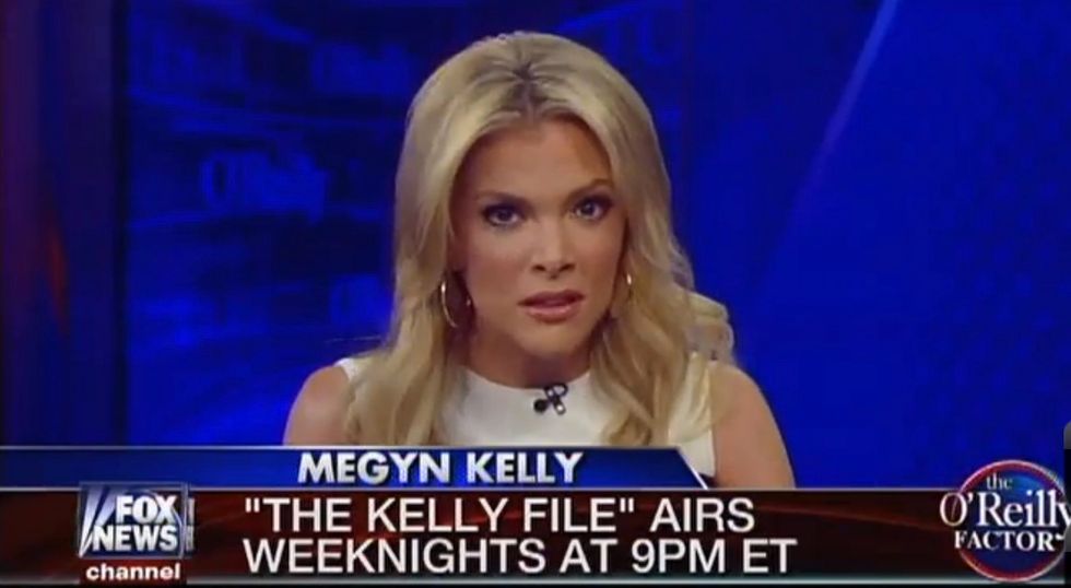 The One Issue That Has Megyn Kelly Saying, 'Some Things Do Require Some Involvement of Big Brother