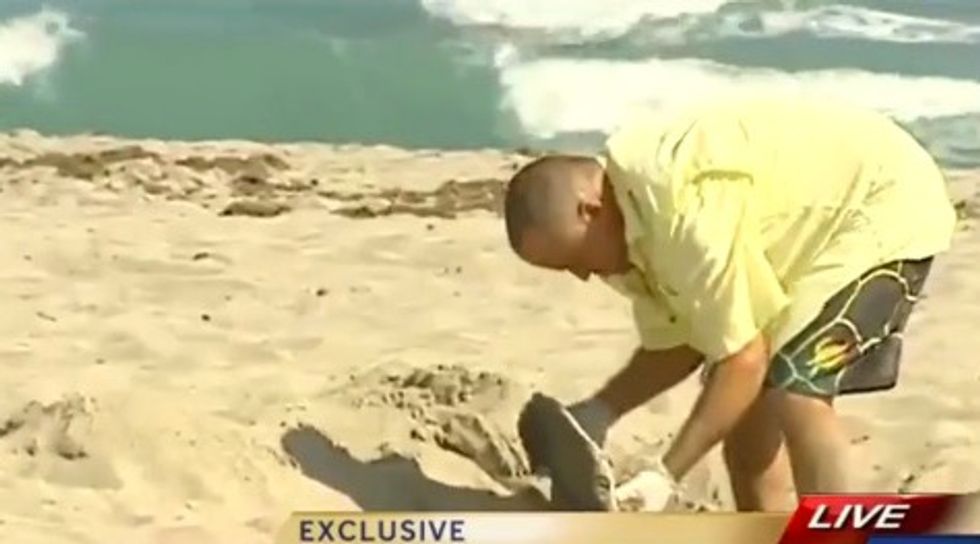 Big Discovery Made Buried Beneath the Sand on Florida Beach