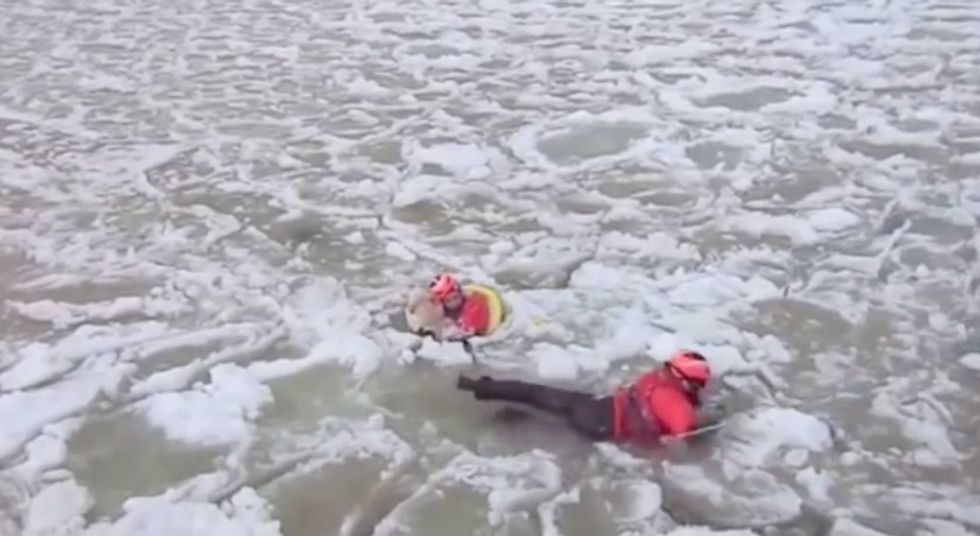 Members of the Coast Guard Spotted Something in the Icy Waters That Had Them Immediately Jumping In