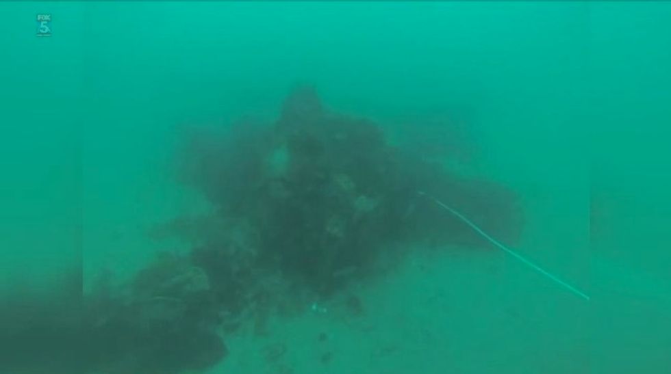 Divers 'Completely Overwhelmed' by 'Incredible' Decades-Old Discovery Submerged Off California Coast