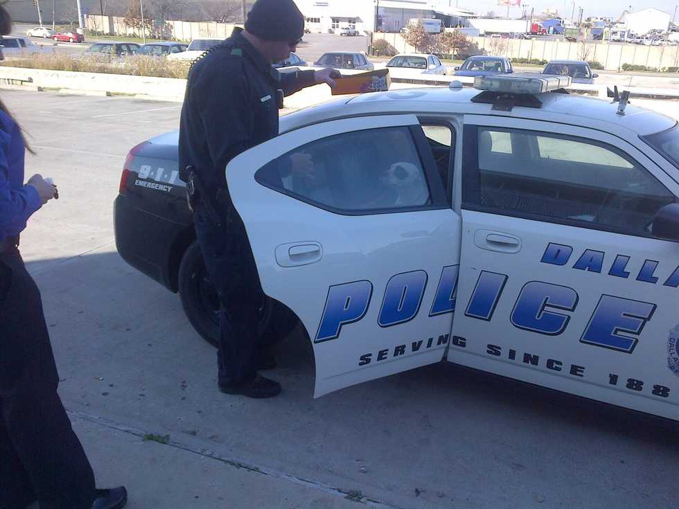 Texas Cop Rescues Terrified Dog Trapped on Freeway, Falls in Love With Her on Way to Animal Shelter