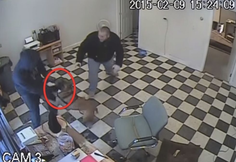 Would-Be Robber Pulls a Gun and Forces His Way Inside an Office. Then He Meets Thor -- and the Whole Thing Was Caught on Camera.