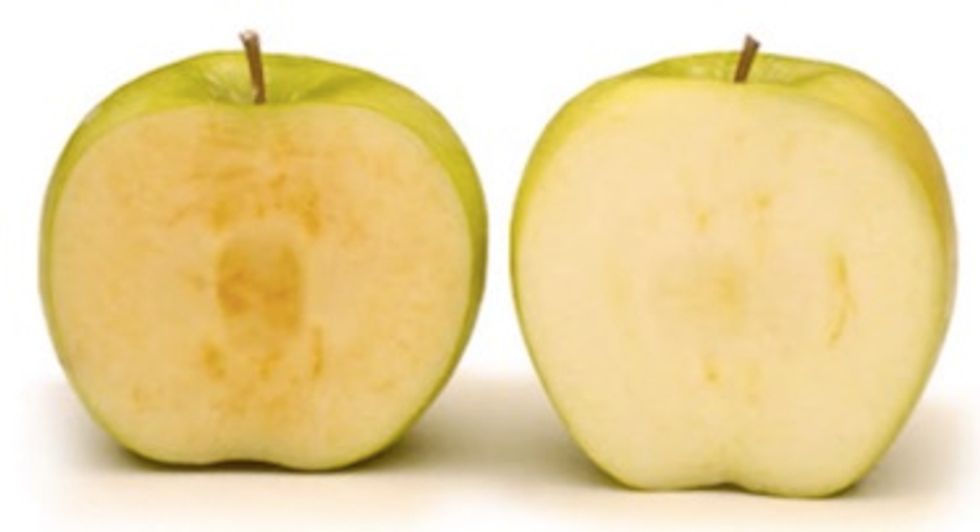 Blaze Poll: Will you eat the new USDA-approved, genetically modified apple?