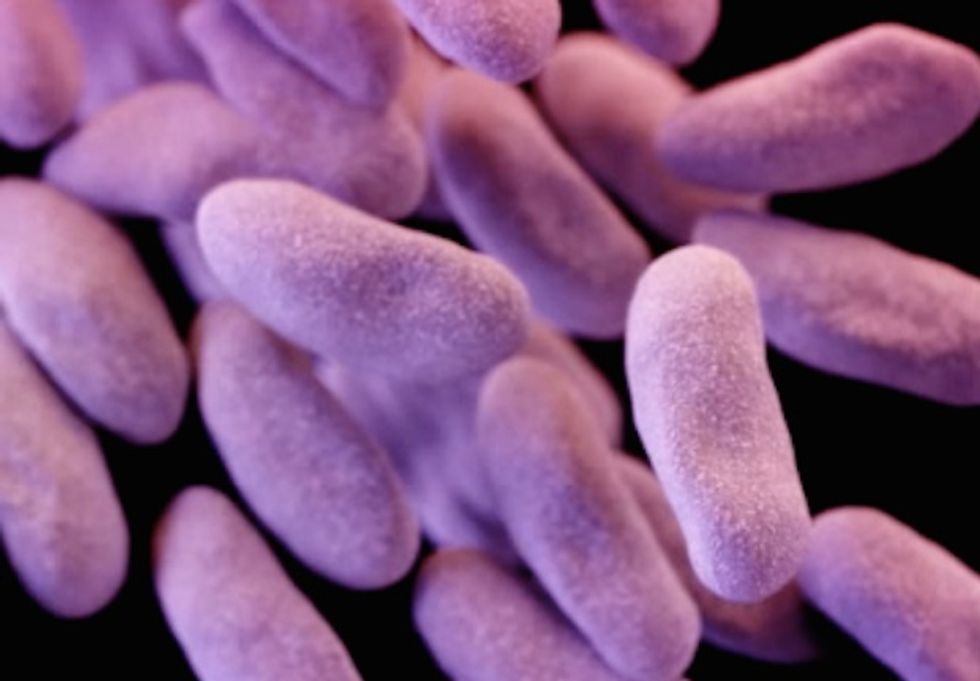 Who's Responsible for California's Deadly Superbug? One Doctor Says Look in the Mirror