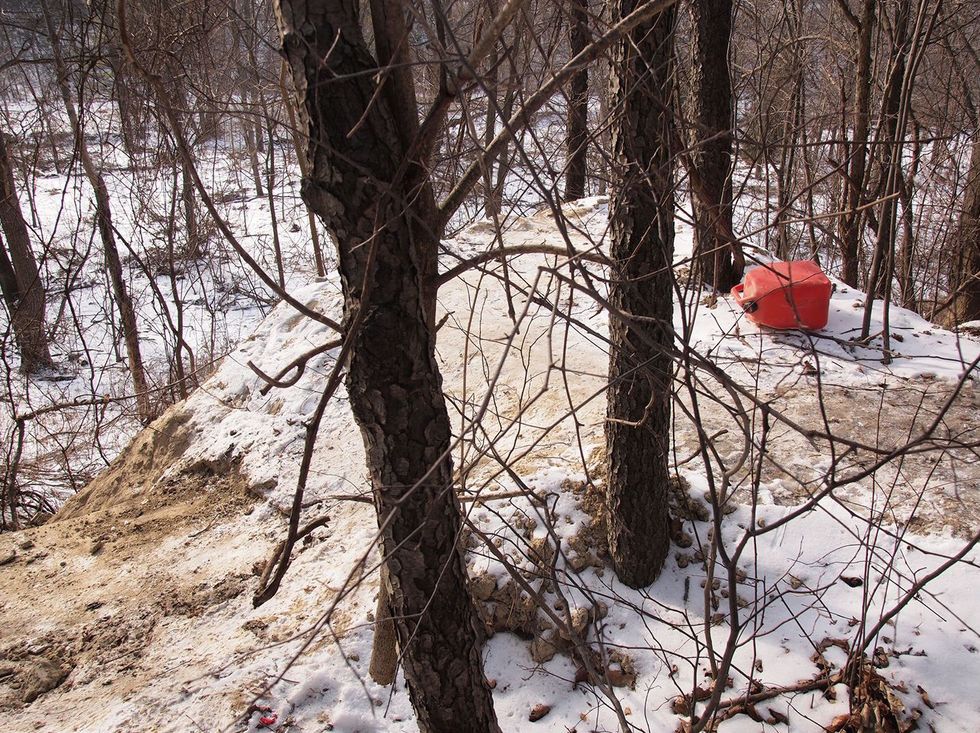 Police Very Alarmed Over 'Fluke Discovery' Made in Wooded Area: 'It's Not Your Everyday Find
