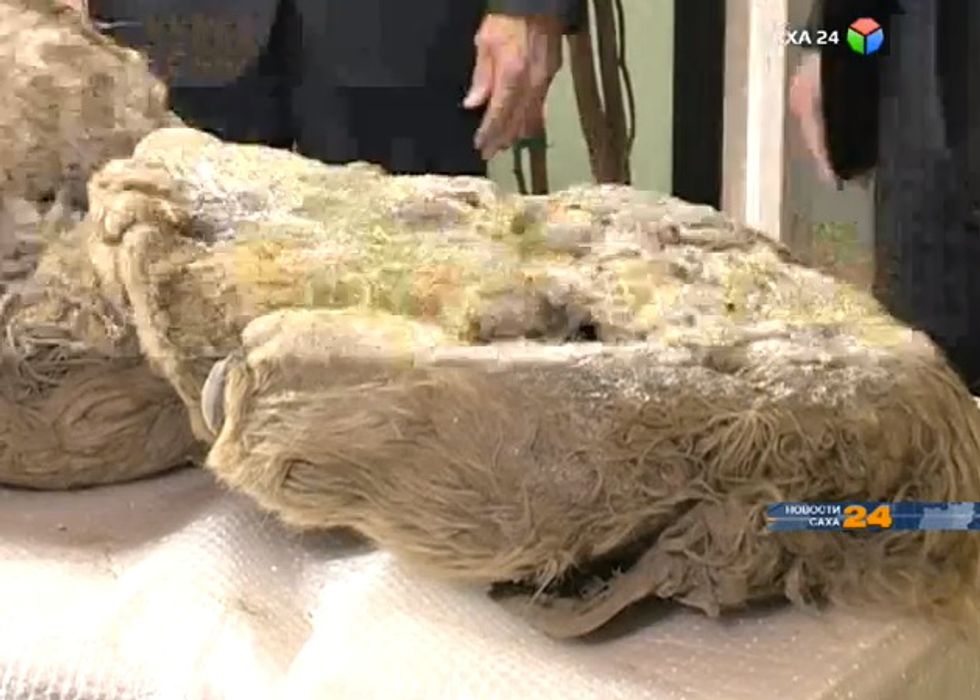 Two Men Thought They Stumbled Upon a Frozen Reindeer...They Soon Learned It Was Much More Rare and Ancient