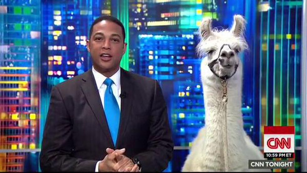 This Is CNN: Don Lemon Actually Interviews Celebrity Llama on Live-TV Following Drama in Arizona