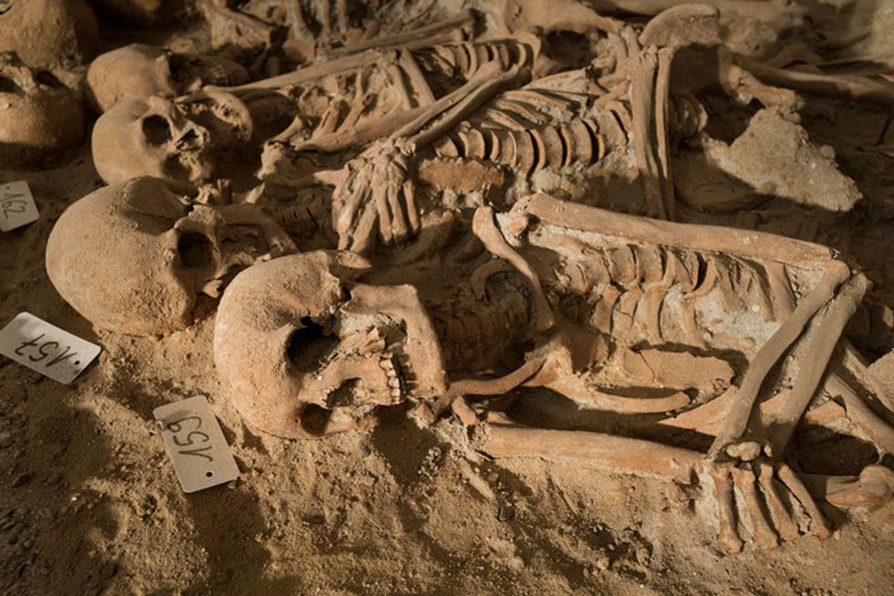 Gruesome Find Unearthed Under Paris Supermarket