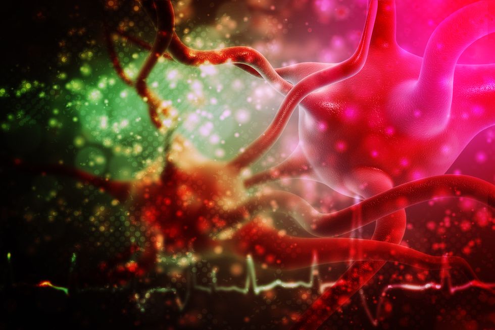 It Is...Remarkable': New 'Breakthrough' Allows Scientists to Implant Memories Into Mice
