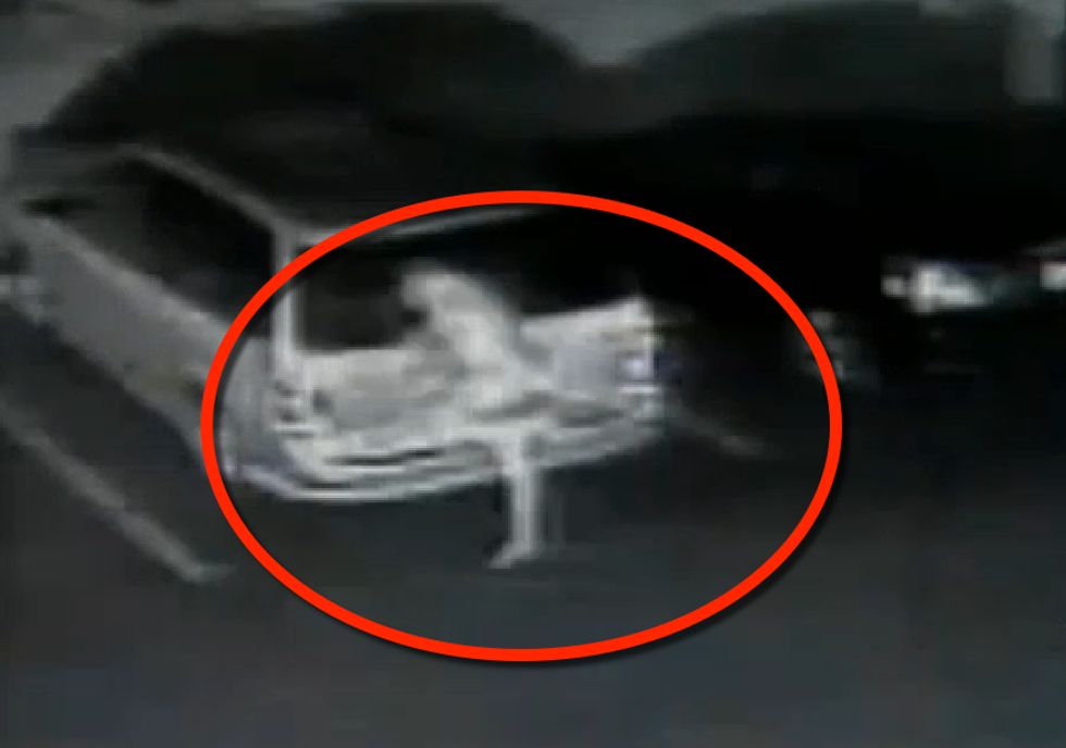 Man Goes on Naked Rampage That News Station Can Only Describe as 'Unlike Anything We've Ever Seen Before' — and That May Be an Understatement