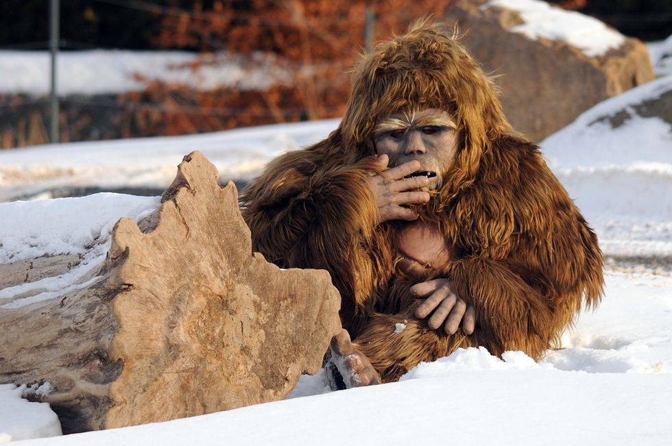 New Development in the Controversy of the 'Yeti' Hair Samples — Here's the Latest