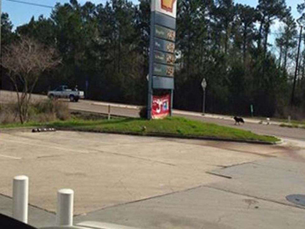 Eyewitness Left ‘In Shock’ By Scene That Unfolded Before Her Eyes: ‘My Heart Is Broken’