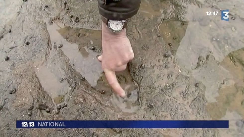 Scientists Make Incredible, Centuries-Old Discovery in Wake of Tidal Phenomenon