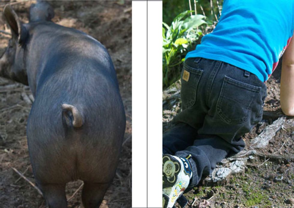 The Stunning Children's Book About Abortion You Just Have to See: 'Sister Is a Happy Ghost