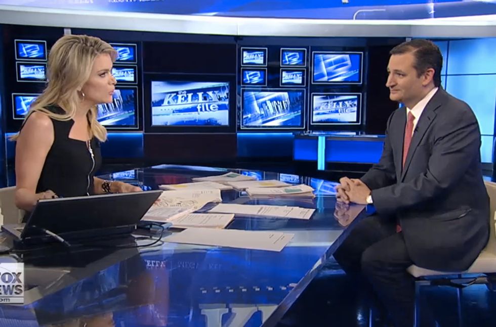 Megyn Kelly Challenges Ted Cruz on His Record: 'You Can't Just Be Somebody Who Stops Things
