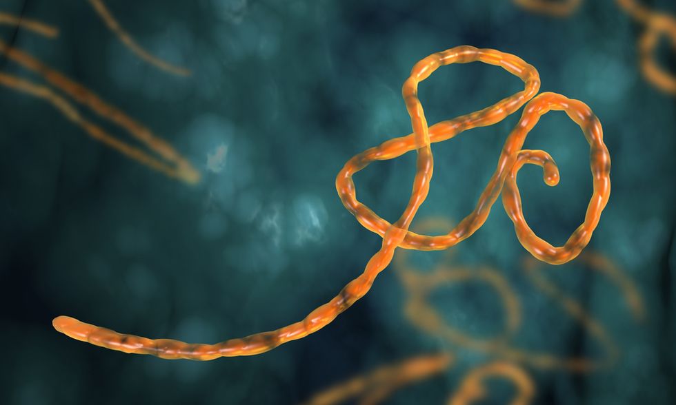 Reassuring' Updates on Ebola Mutations, Vaccines and Patients