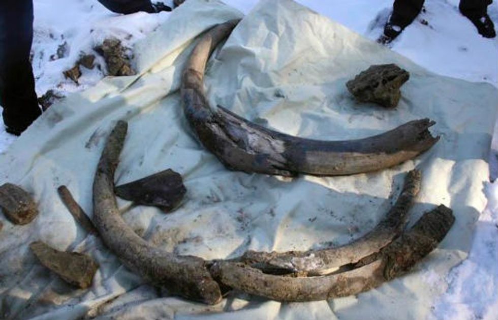 Oil Workers Make Surprising Discovery in Russia That's Thousands of Years Old