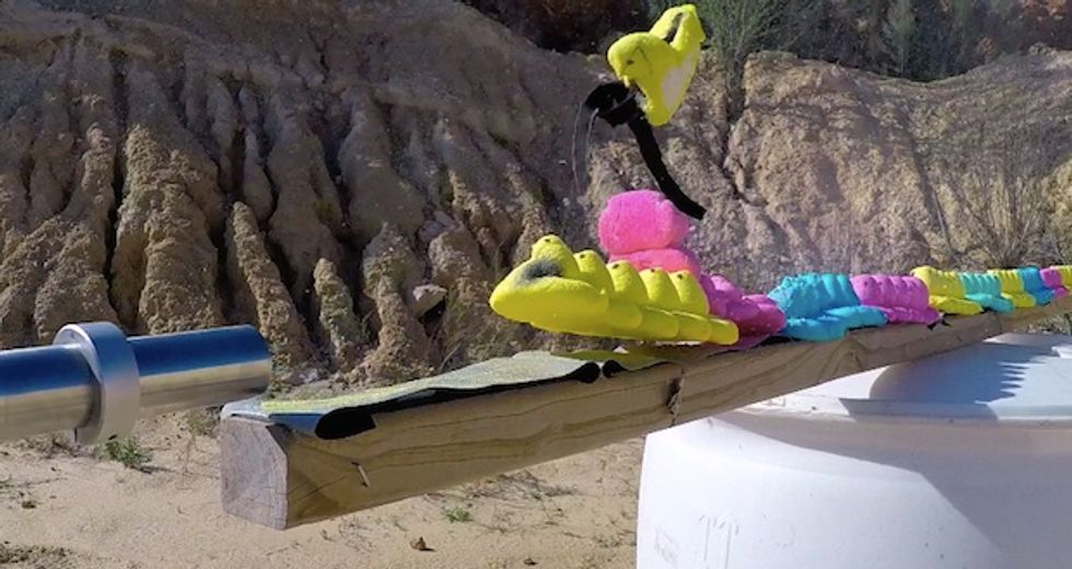How Many Peeps Does It Take to Stop a .22 Bullet at Point-Blank Range?