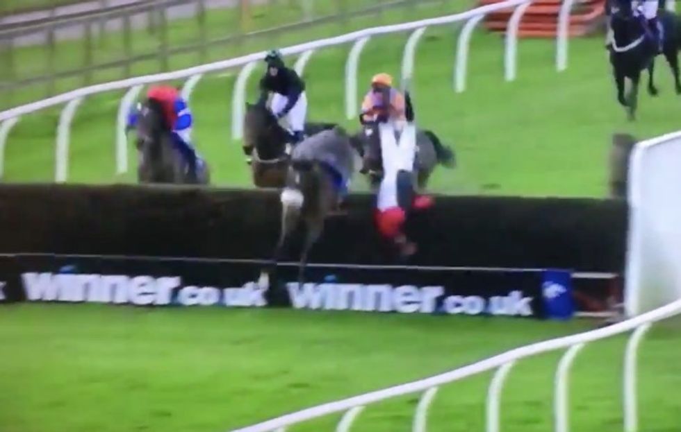 Horse and Jockey Looked Like They Had an Easy Win…Until the Final Jump