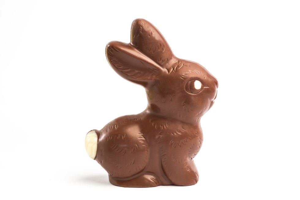 Blaze poll: Where do you bite into a chocolate bunny first? 